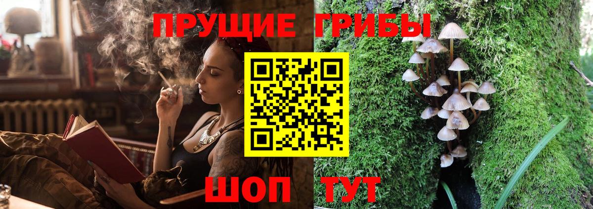 Псилоцибиновые грибы Cubensis Кизляр