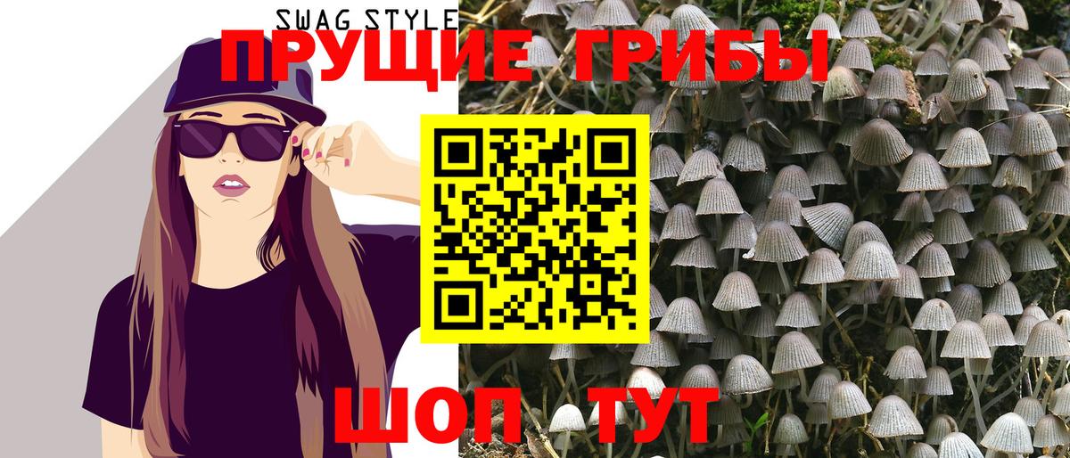 Кизляр  Псилоцибиновые грибы мухоморы  Вход с VPN 